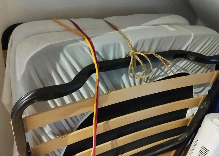 En Coloc' Chez Charlotte *